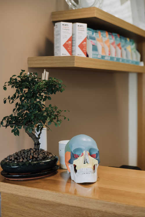 skull sculpture sitting on the reception desk at Roscam Family Dental Practice